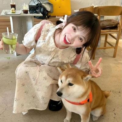 放肆精灵4